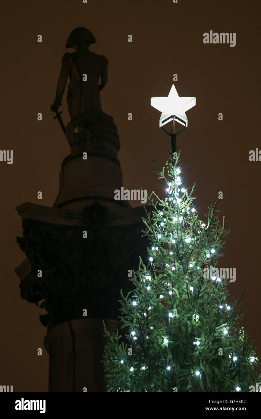 The lights on the Trafalgar Square Christmas tree lights are switched