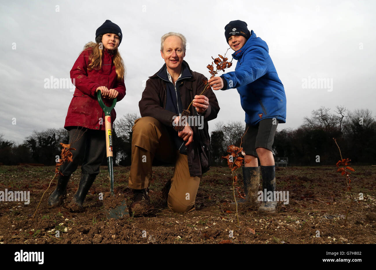 Centenary Wood Stock Photo