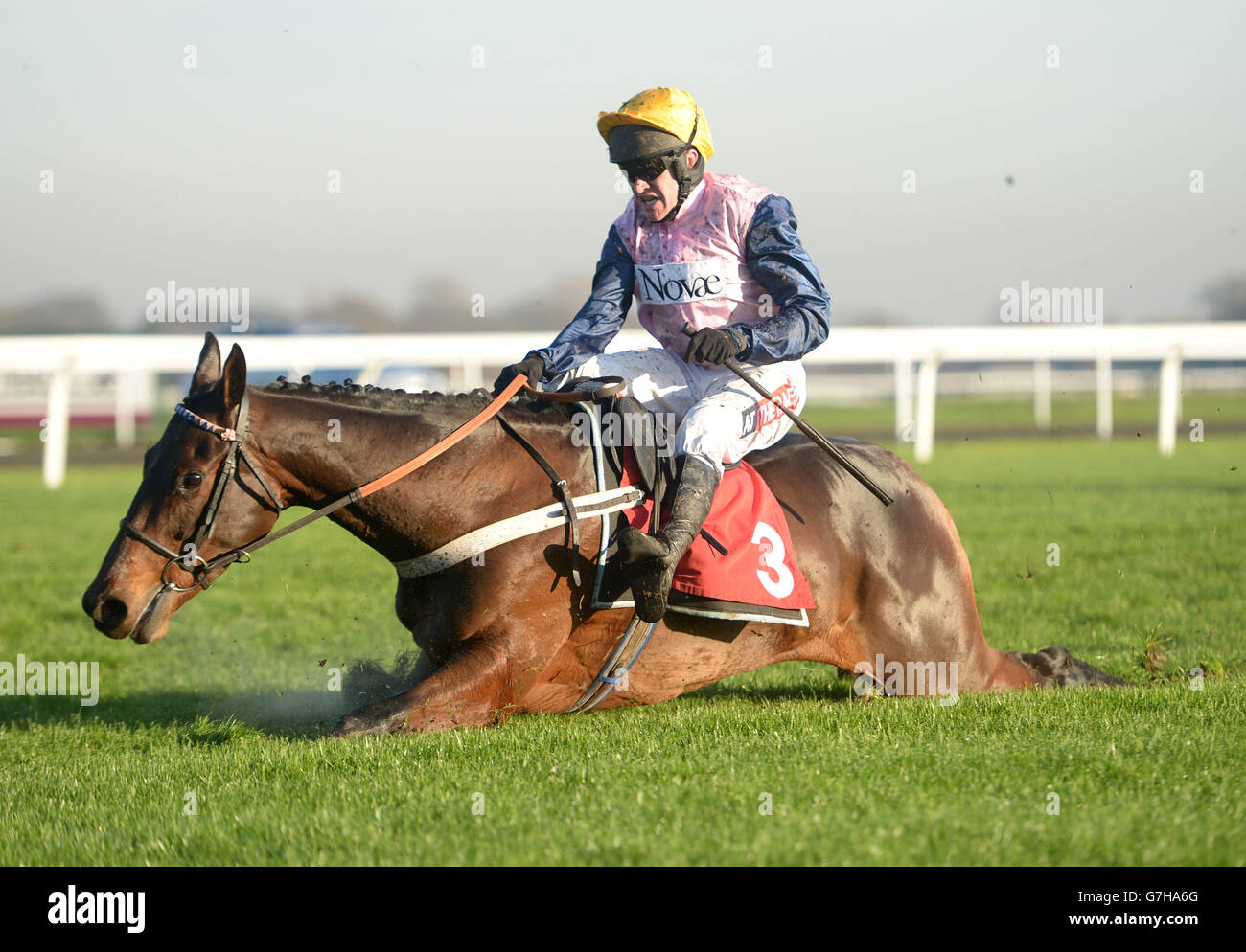 Falls last fence olbg mares hurdle