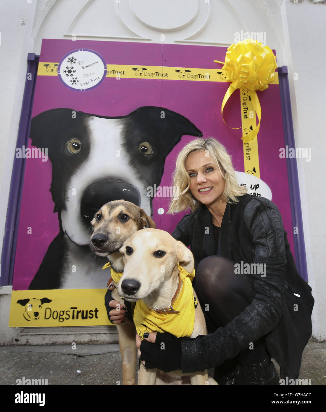 Launch of the Dogs Trust Christmas campaign Stock Photo Alamy