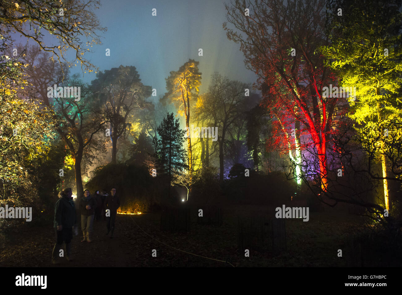 Westonbirt Arboretum Enchanted Christmas trail Stock Photo Alamy