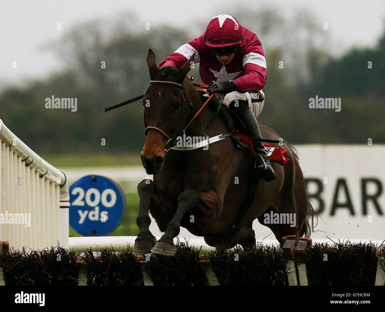 Winning bar one racing hattons grace hurdle hi-res stock photography ...