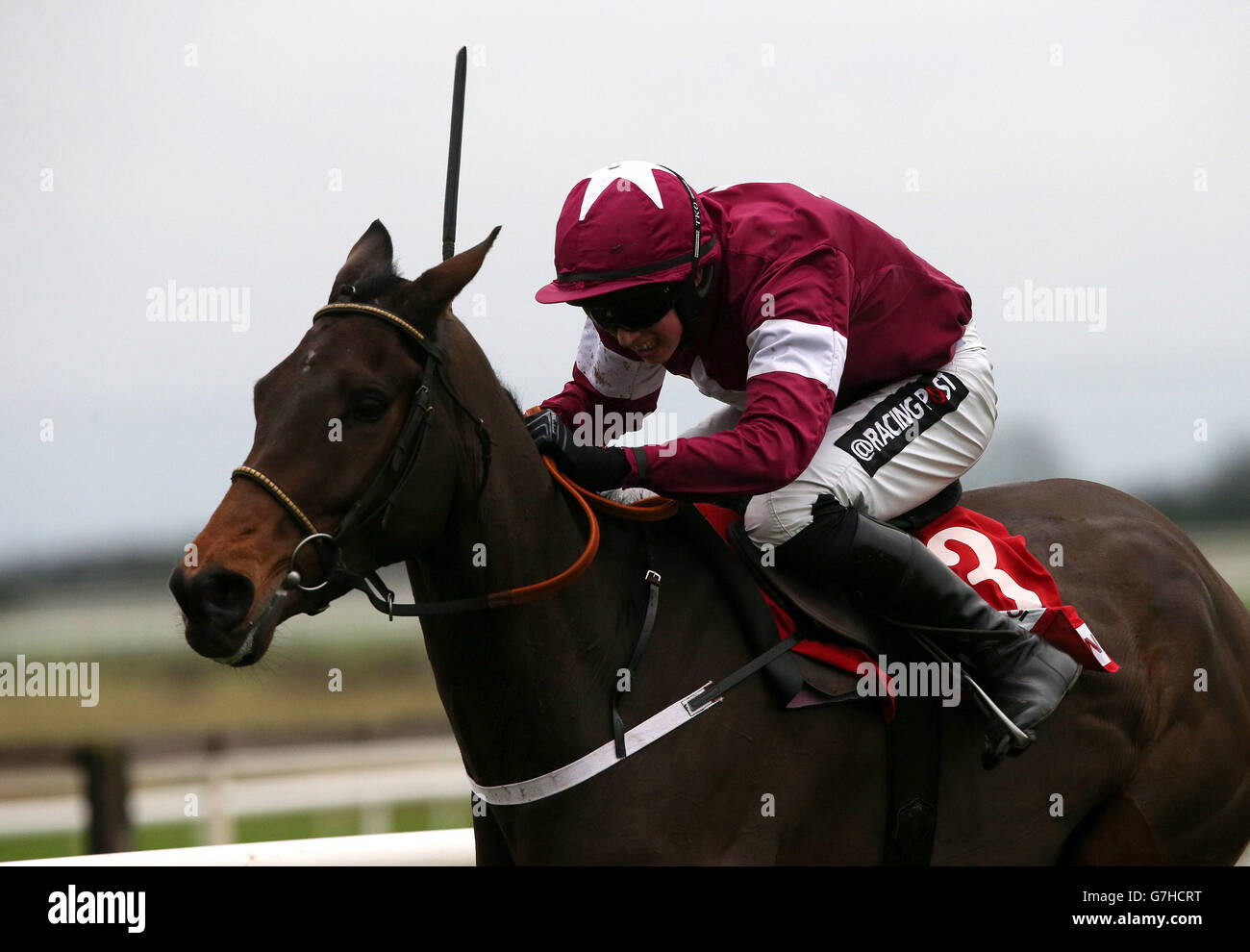 Winning bar one racing hattons grace hurdle hi-res stock photography ...