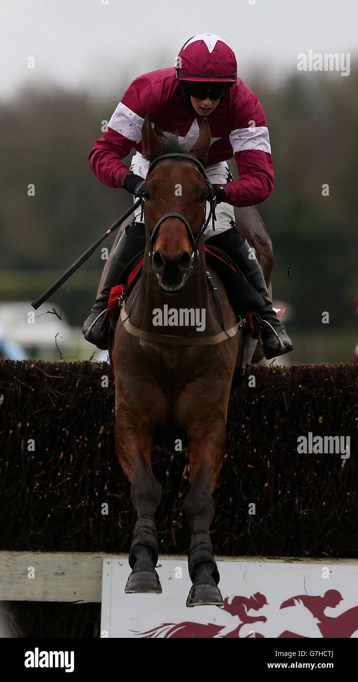 Horse Racing Bar One Racing Hattons Grace Day Fairyhouse Racecourse