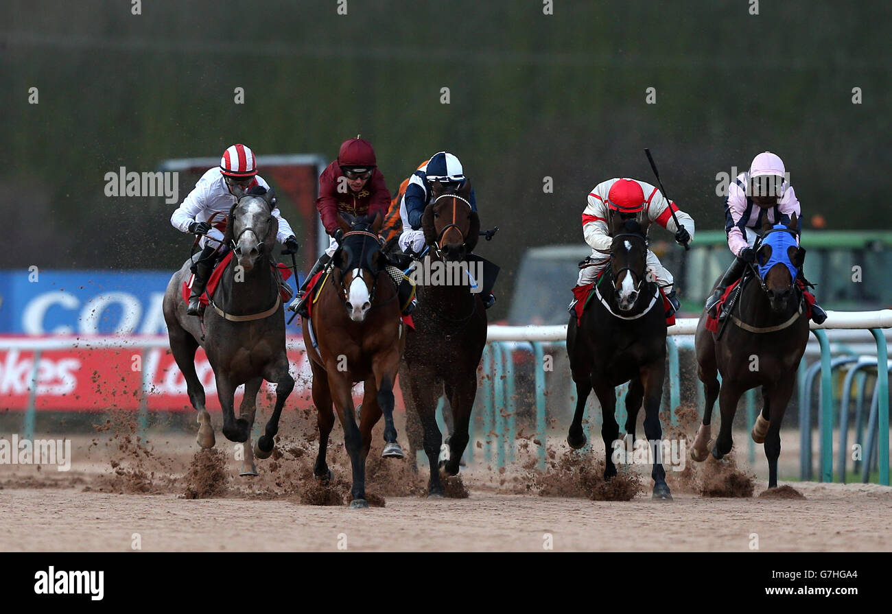 Race horse name hi-res stock photography and images - Alamy