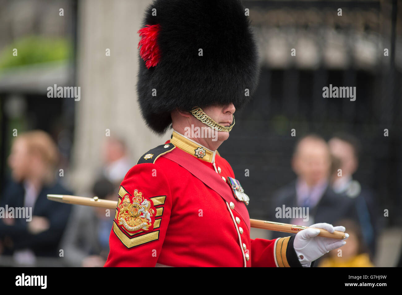 GSM London District, Andrew Stokes, Coldstream Guards, responsible for organisation of major state events, at the State Opening of Parliament 2016. Stock Photo