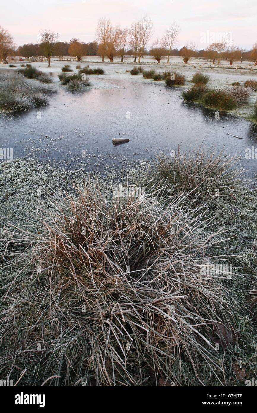 Ice covers a lake in Richmond Park, south west London, as temperatures in the area dipped below freezing overnight. Stock Photo
