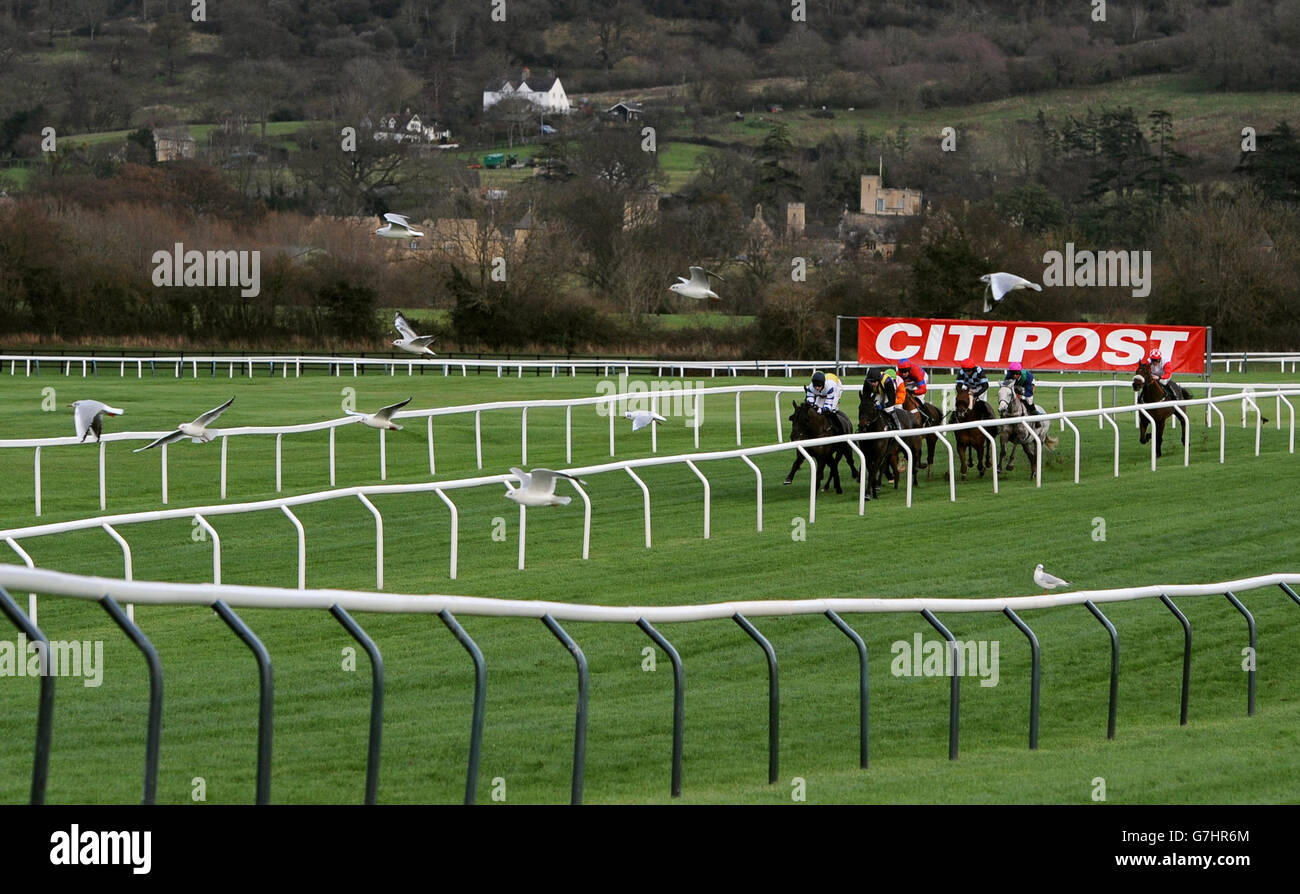Horses run in the CF Roberts Electrical + Mechanical Services Handicap Hurdle during day one of The International at Cheltenham Racecourse. Stock Photo