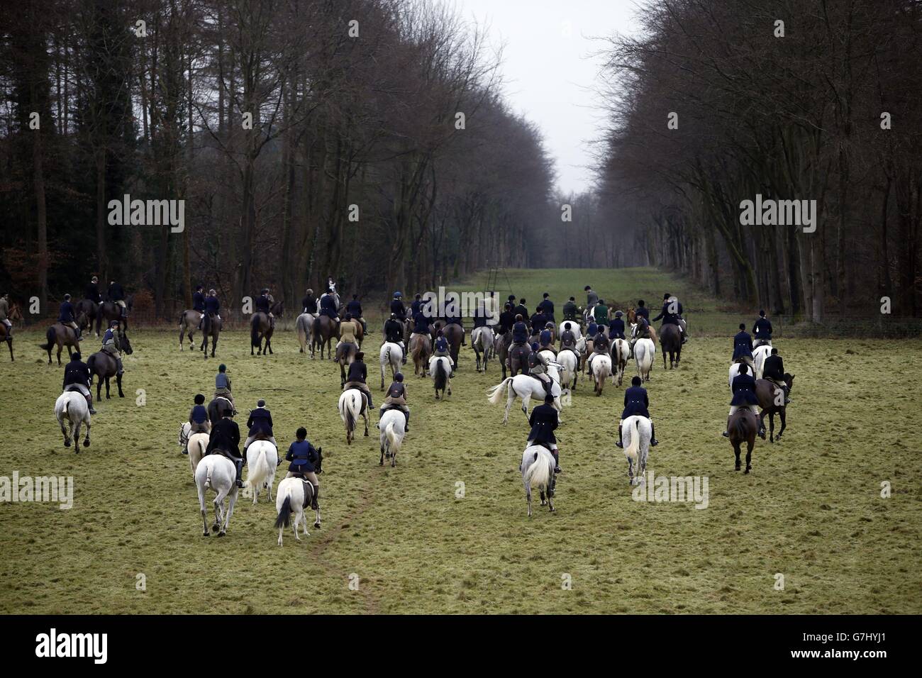 Boxing Day hunt. Members take part in the Duke of Beaufort Boxing Day hunt at Worcester Lodge, Didmarton, Gloucestershire. Stock Photo