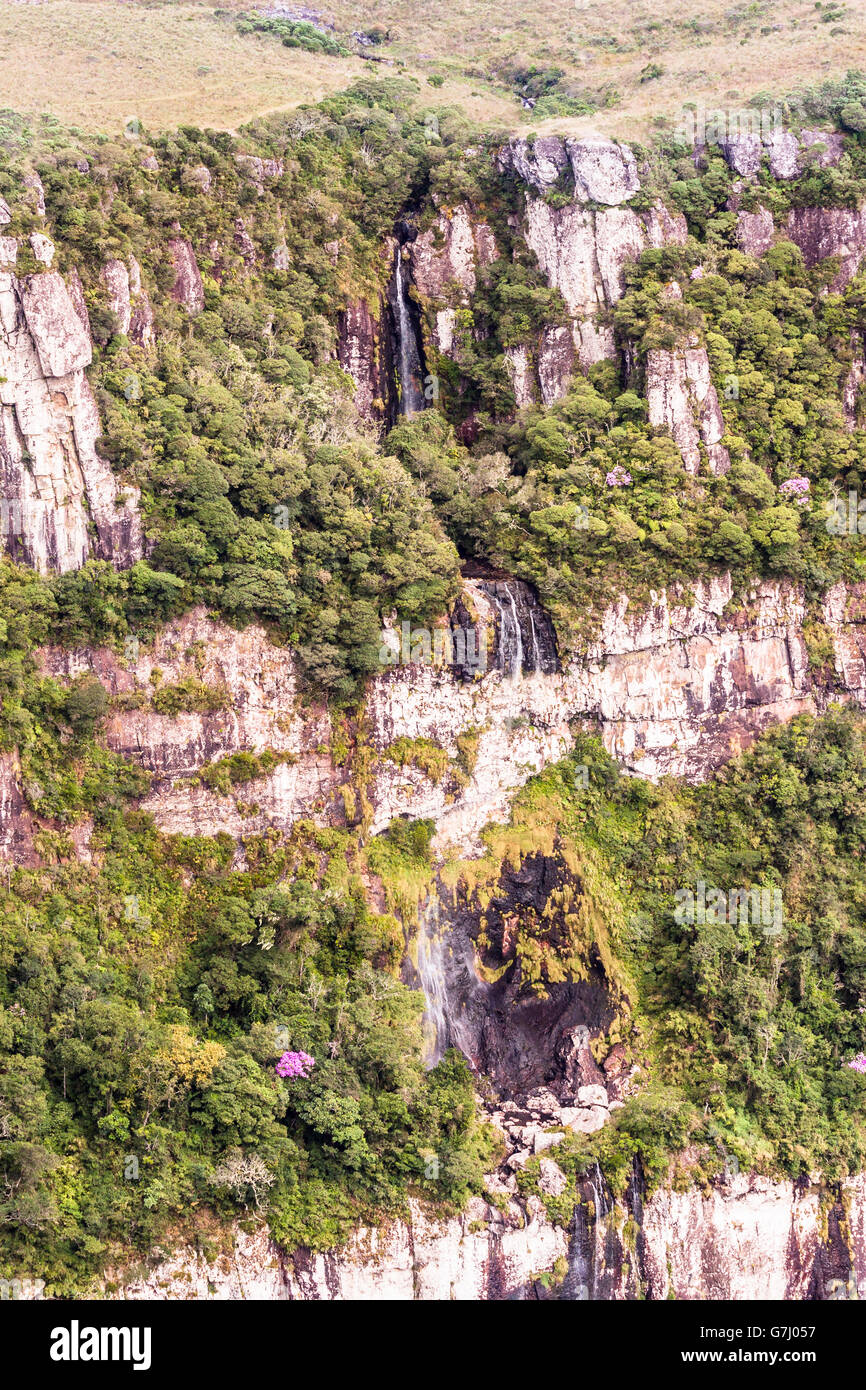 Canyon Fortaleza in Aparados da Serra Park Cambara do Sul Rio Grande do ...