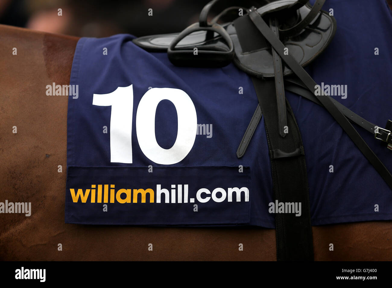 Detail of the saddle cloth of Quite By Chance prior to the William Hill - Download The App Novices' Limited Handicap Chase Stock Photo