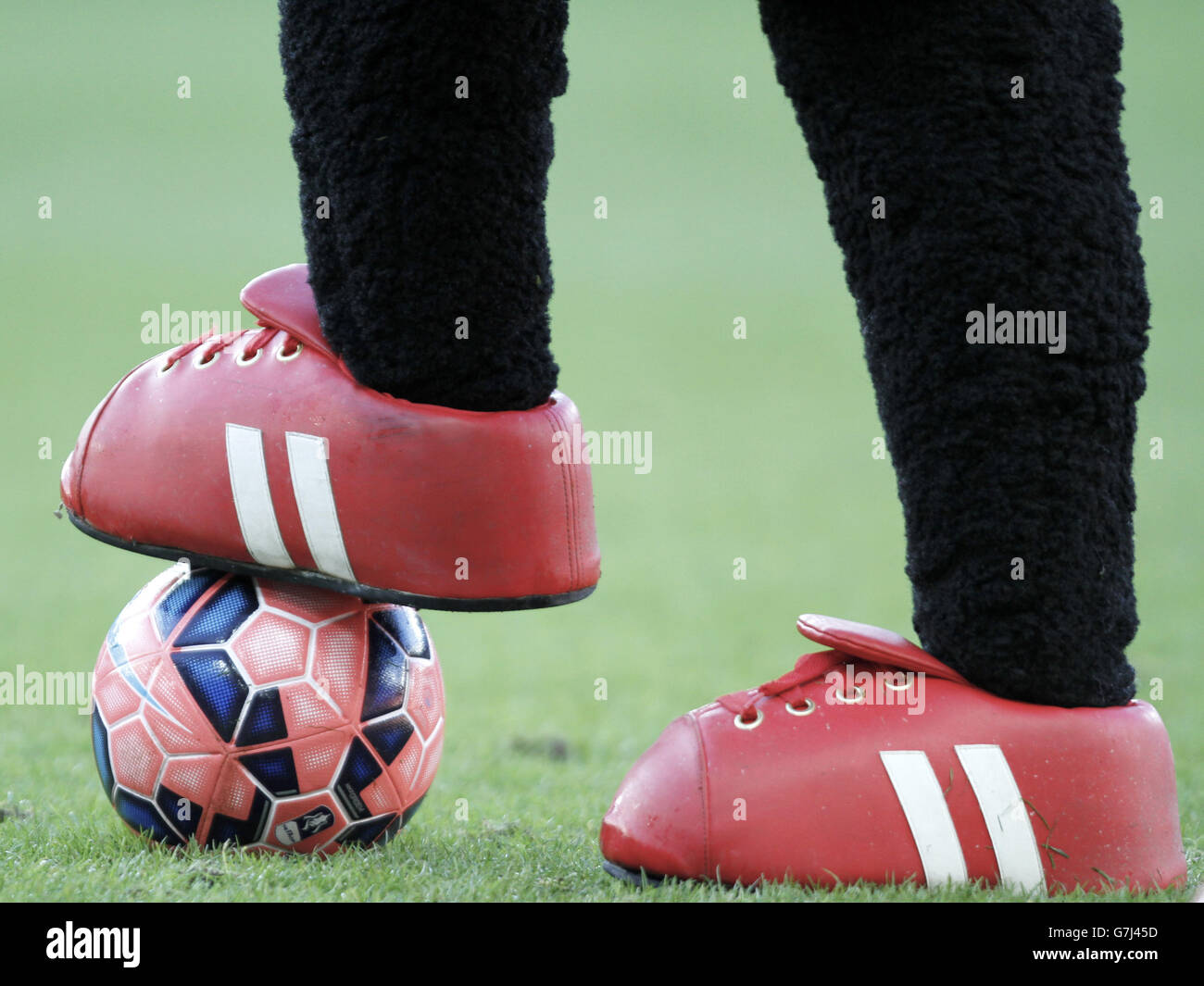 Soccer - FA Cup - Third Round - Sunderland v Leeds United - Stadium of Light. A detailed view of Samson the Black Cat's foot on a Nike match ball Stock Photo