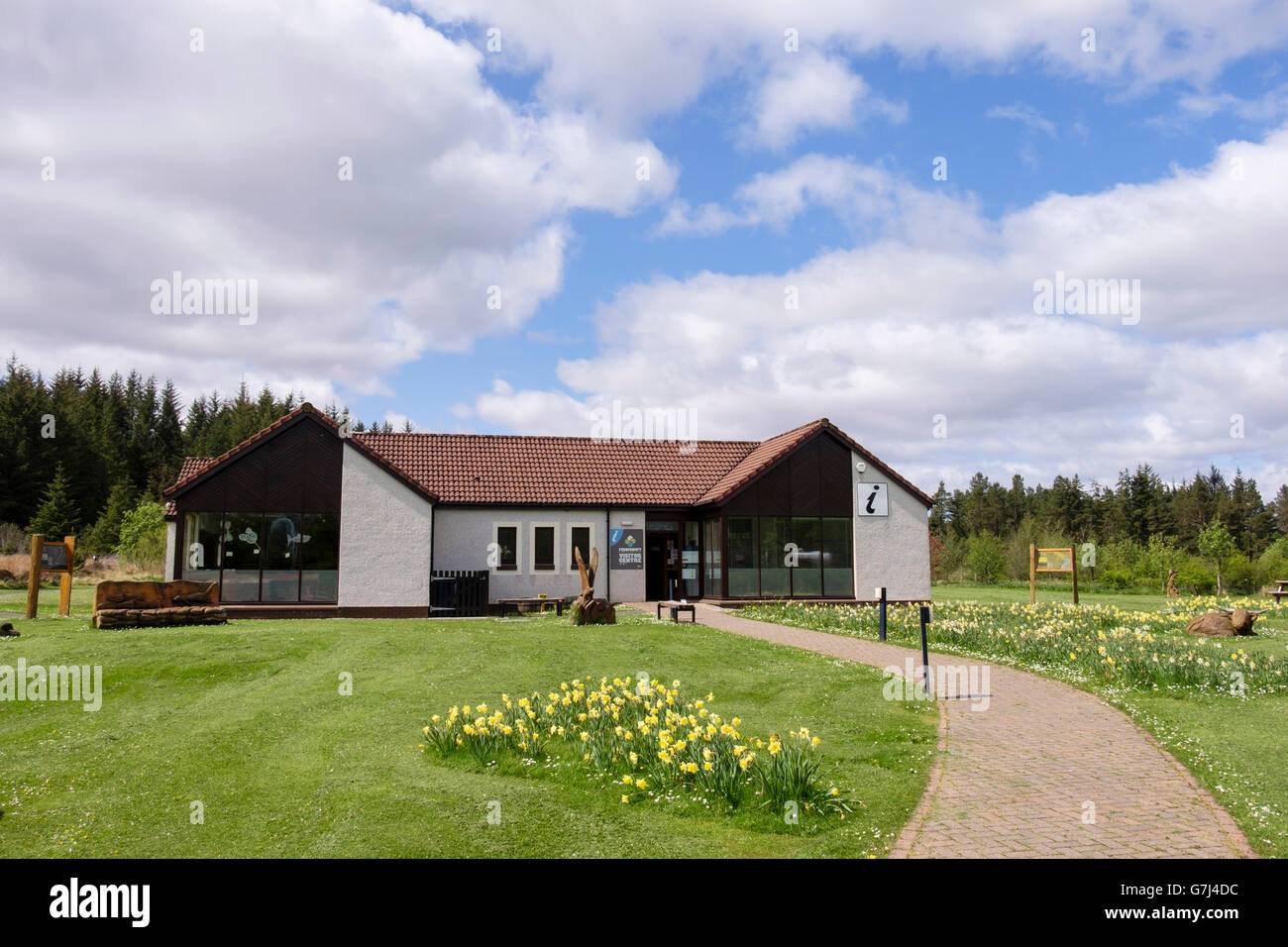 Path leading through garden to Ferrycroft Countryside Visitor Centre with spring Daffodils. Lairg Sutherland Highland Scotland Stock Photo