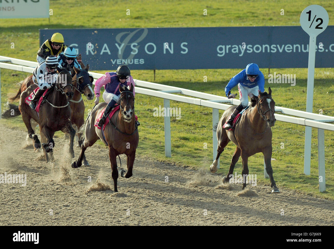 Horse Racing Chelmsford City Racecourse Stock Photo Alamy