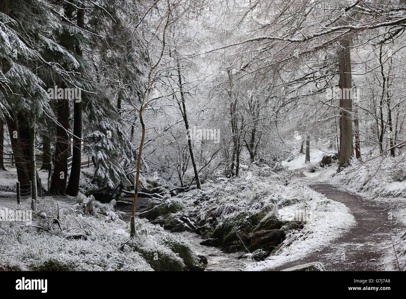 Snowfall in Gortin near Omagh, as many parts of the UK were on snow alert with wintry showers threatening to disrupt travel. Stock Photo