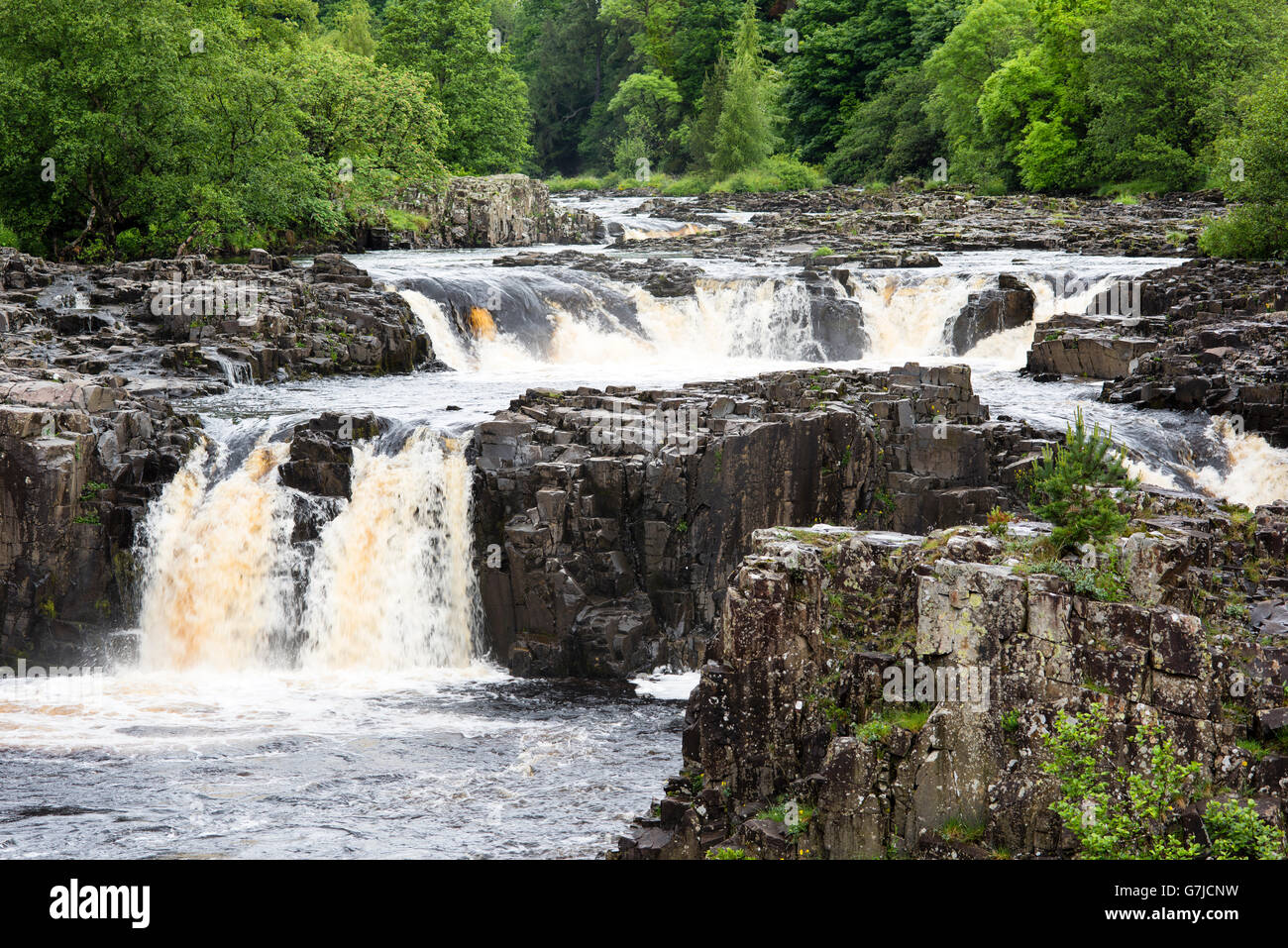 Rough columns and vertical cracks at Low Force waterfall, Teesdale, County Durham, England, UK Stock Photo