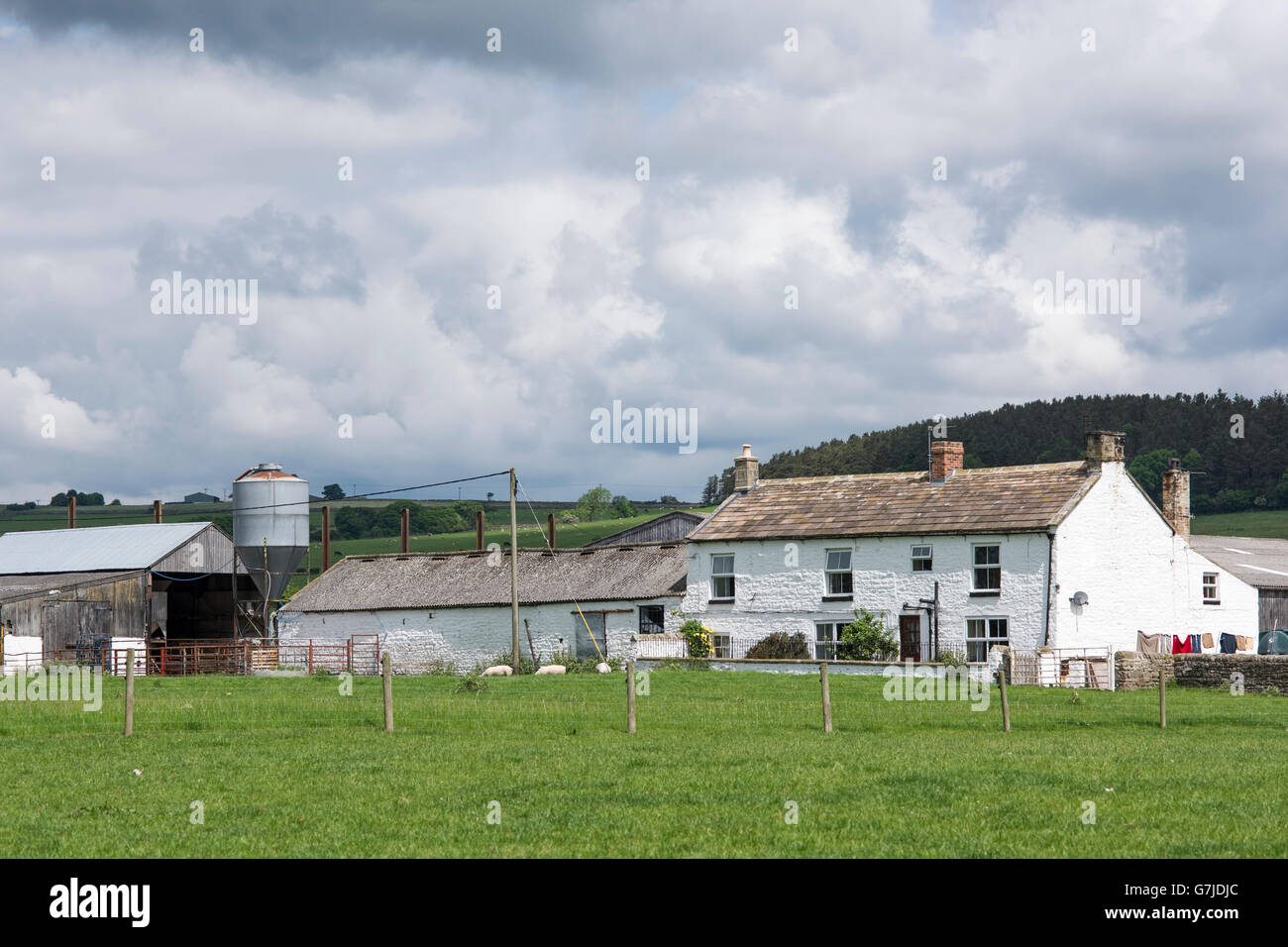 East Holme House Farm beside the Teesdale Way, Barnard Castle, County Durham, England, UK Stock Photo