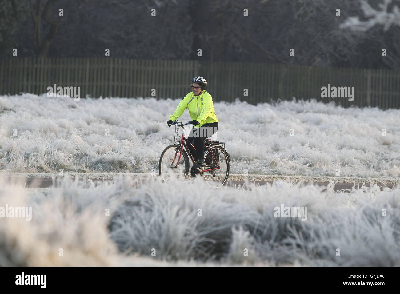 A cyclist rides in Bushy Park, south west London, where temperatures nearby dipped below -4C. Stock Photo