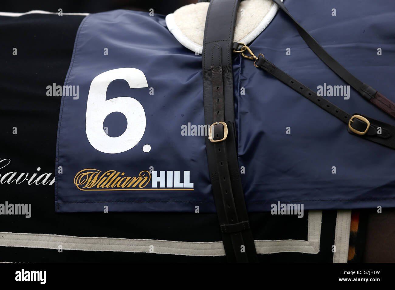 Horse Racing - 2014 William Hill Winter Festival - Day One - Kempton Park. Detail of the saddle cloth of Stellar Notion prior to the William Hill - Download The App Novices' Limited Handicap Chase Stock Photo
