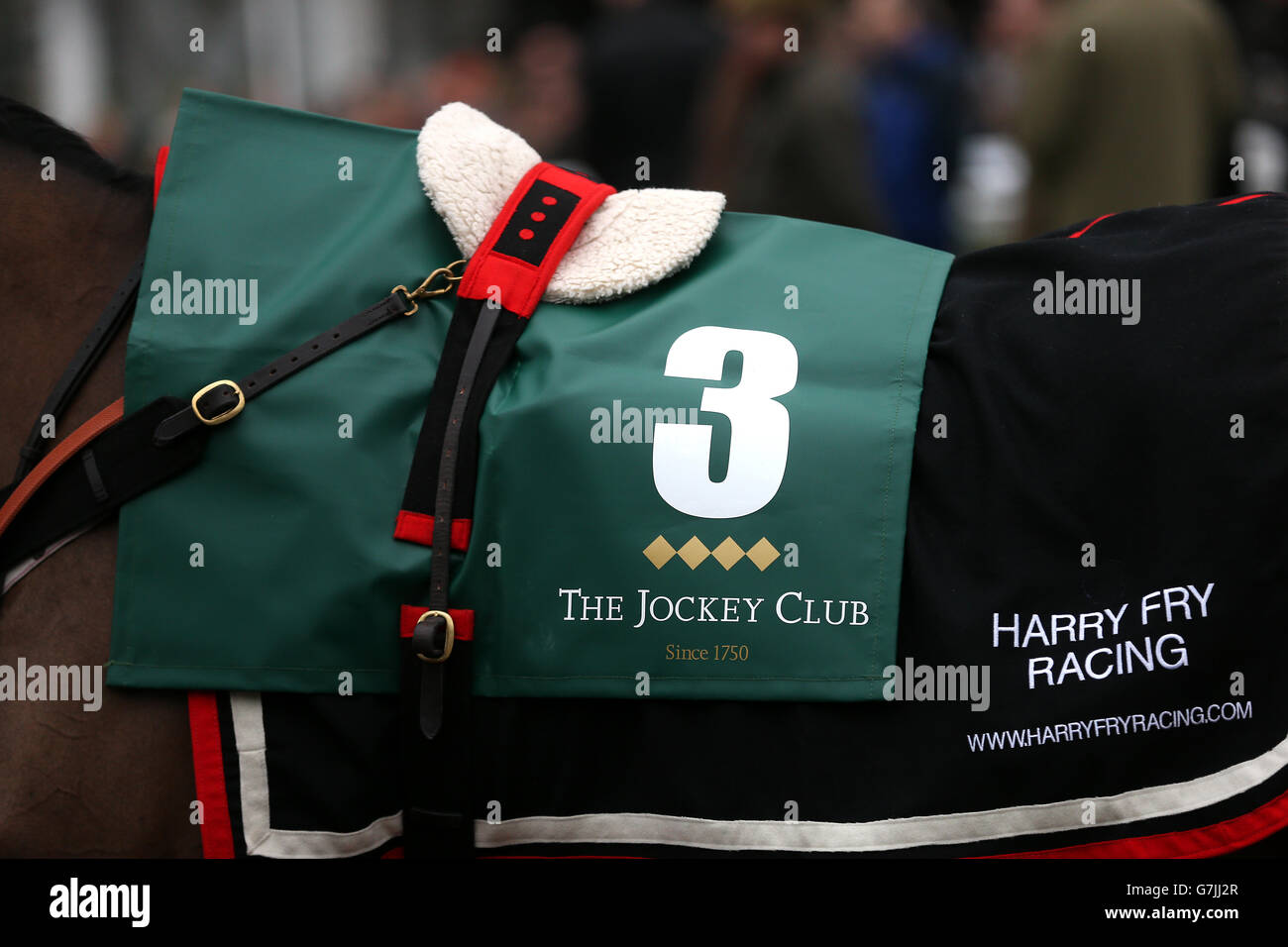 Saddle cloth detail of Thomas Brown prior to the Neptune Investment Management Novices' Hurdle Stock Photo