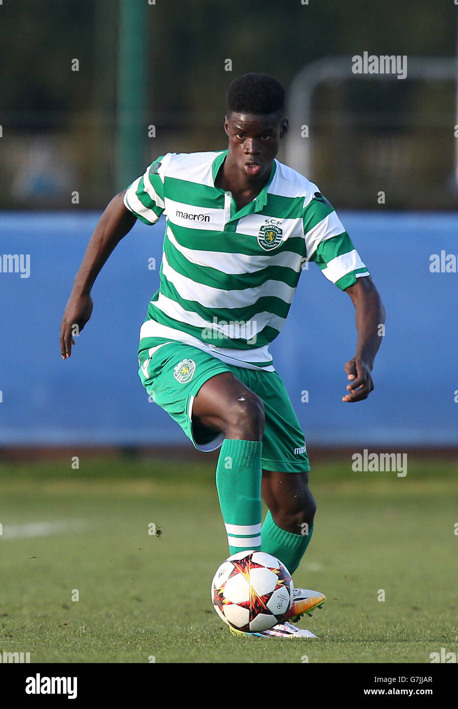 Sporting CP, UEFA Youth League