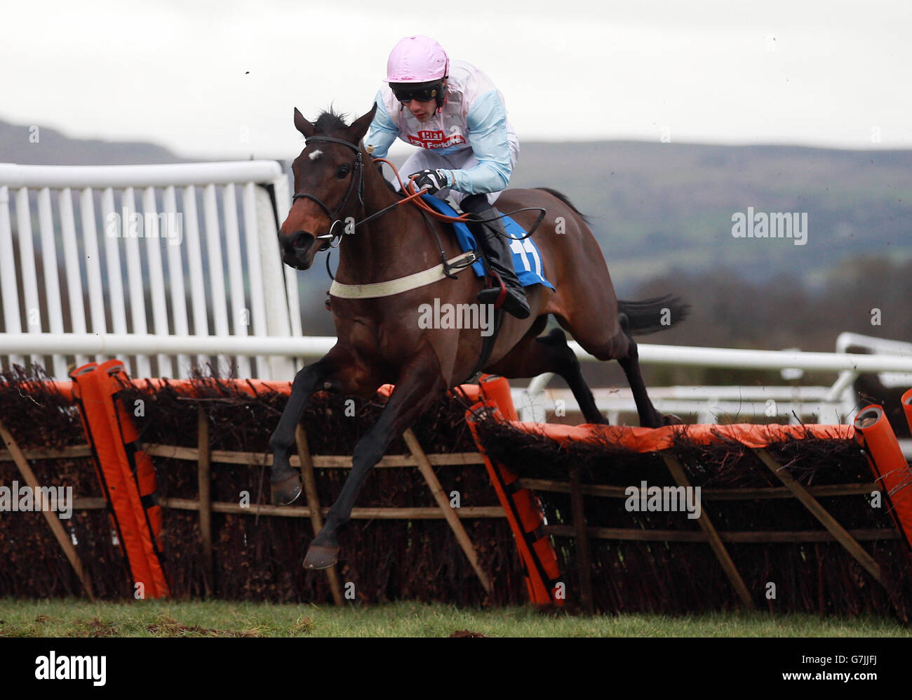 Horse Racing - Ludlow Racecourse Stock Photo - Alamy