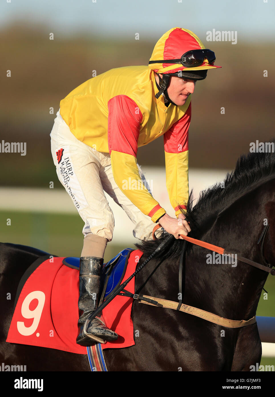 Horse Racing Southwell Racecourse Stock Photo Alamy