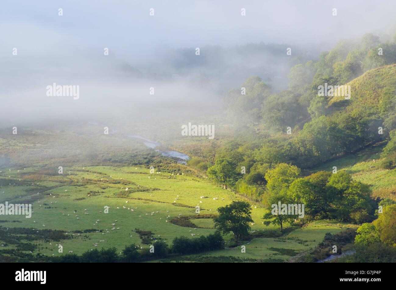 Misty Morning, Nant Gwynant, Snowdonia, Stock Photo