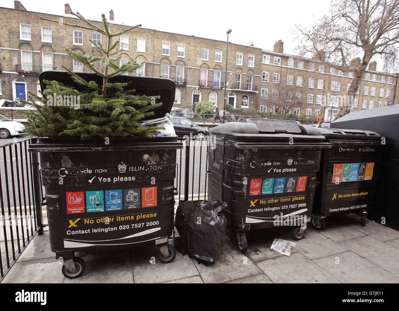 Christmas tree reCycling. A Christmas tree is thrown in a household
