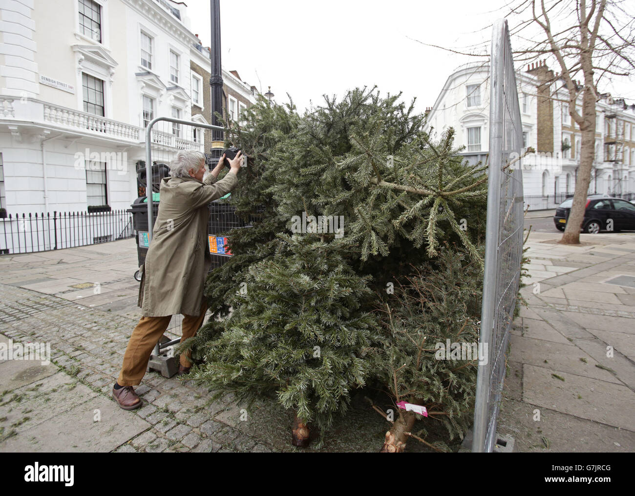 Christmas tree recycling Stock Photo Alamy