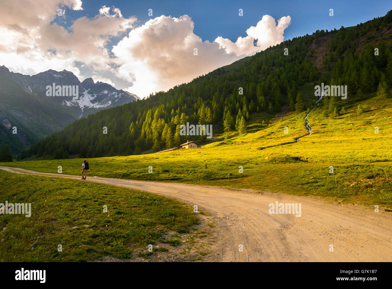 Backpacker hiking in idyllic landscape. Summer adventures and exploration on the Alps, through blooming meadow and green woodlan Stock Photo
