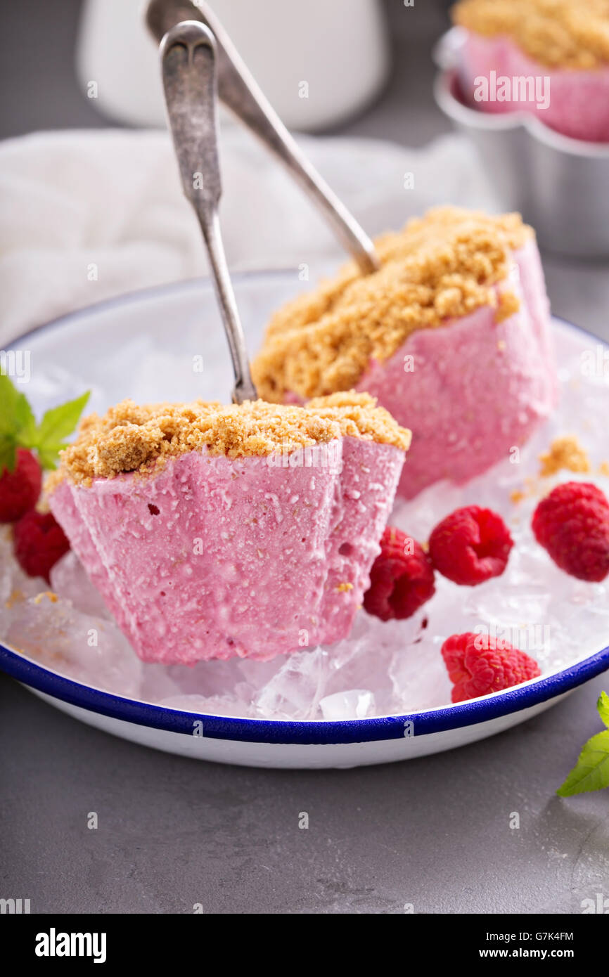 Raspberry cheesecake ice cream pops with cracker crumbs Stock Photo Alamy