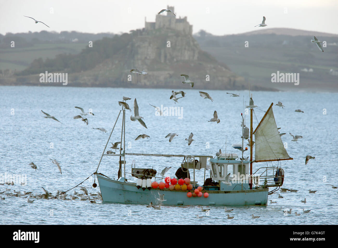 Gulls around a small fishing boat, Mount's Bay, Cornwall, England, UK. Stock Photo