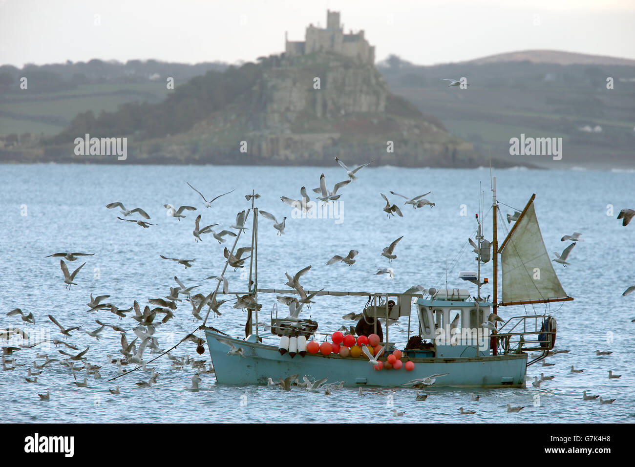 Gulls around a small fishing boat, Mount's Bay, Cornwall, England, UK. Stock Photo