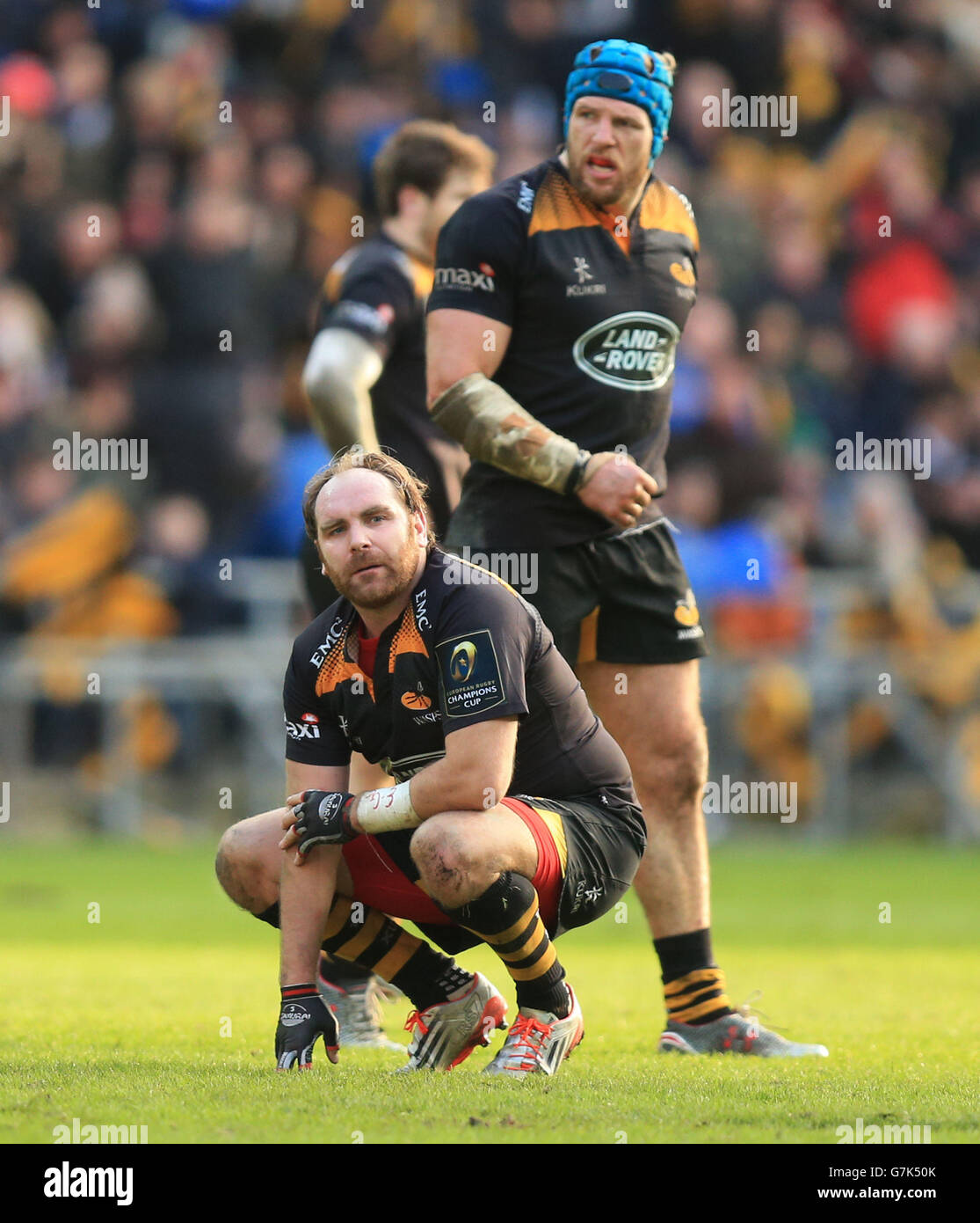 Wasps' Andy Goode sinks to his knees after his drop kick in the dying  seconds goes wide during the Champions Cup match at the Ricoh Arena,  Coventry Stock Photo - Alamy