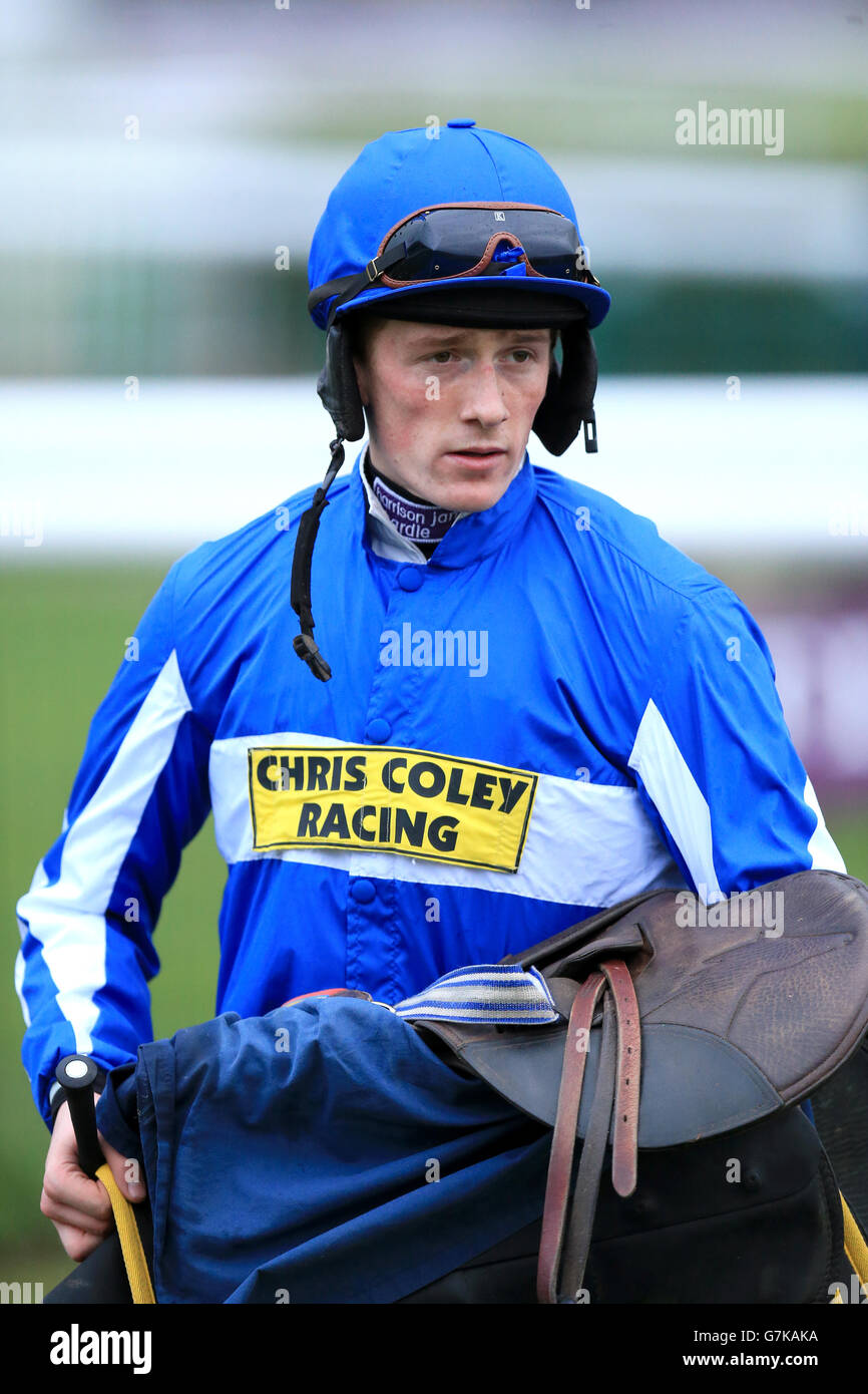 Horse Racing Doncaster Racecourse Stock Photo Alamy