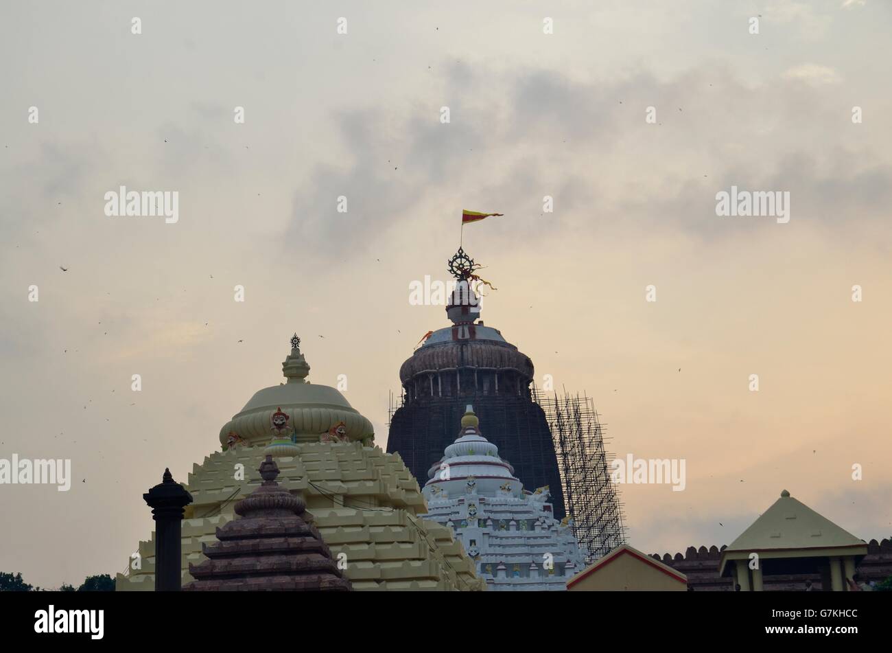 Lord Jagannatha Temple, Puri, Orissa, India Stock Photo Alamy