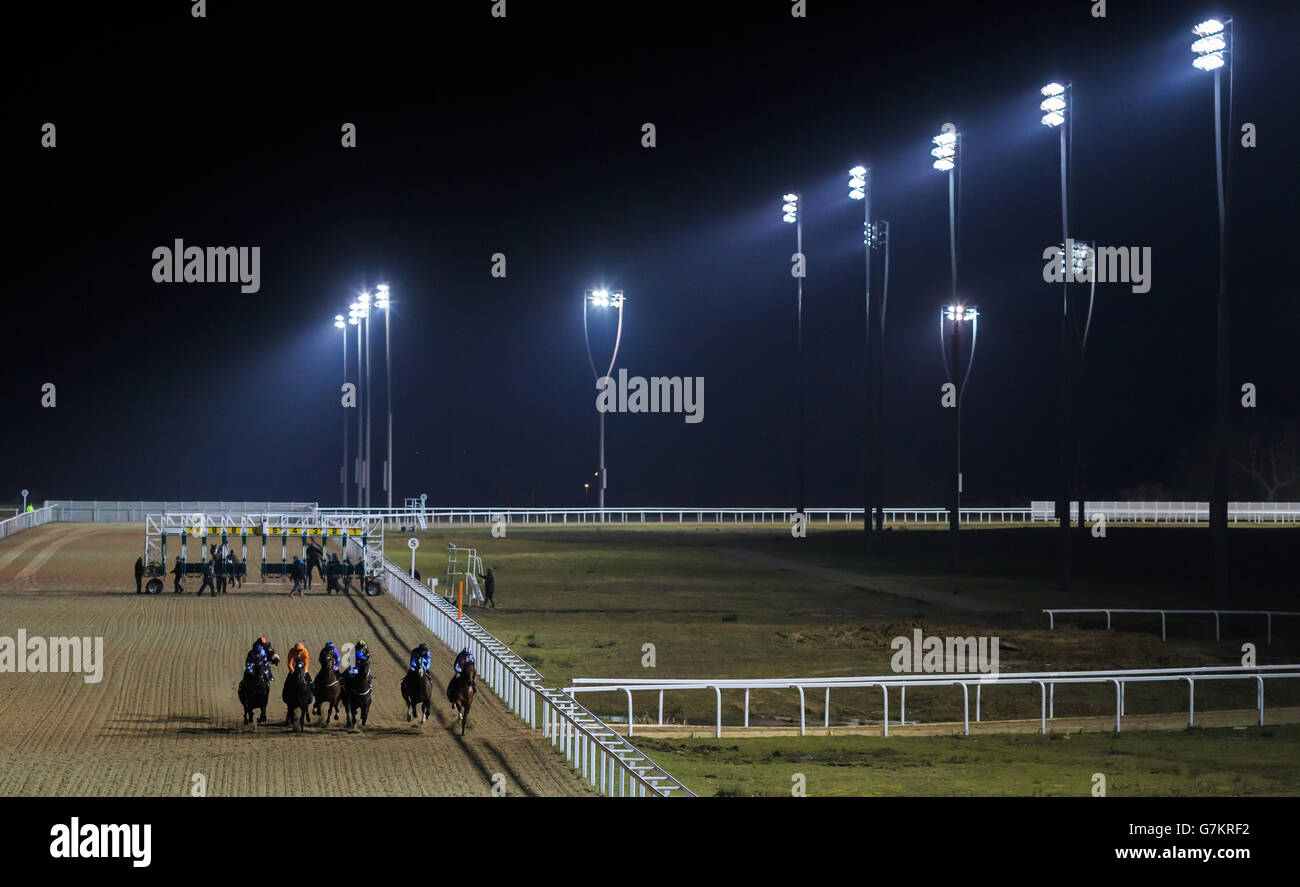 Horse Racing Chelmsford City Racecourse Stock Photo Alamy