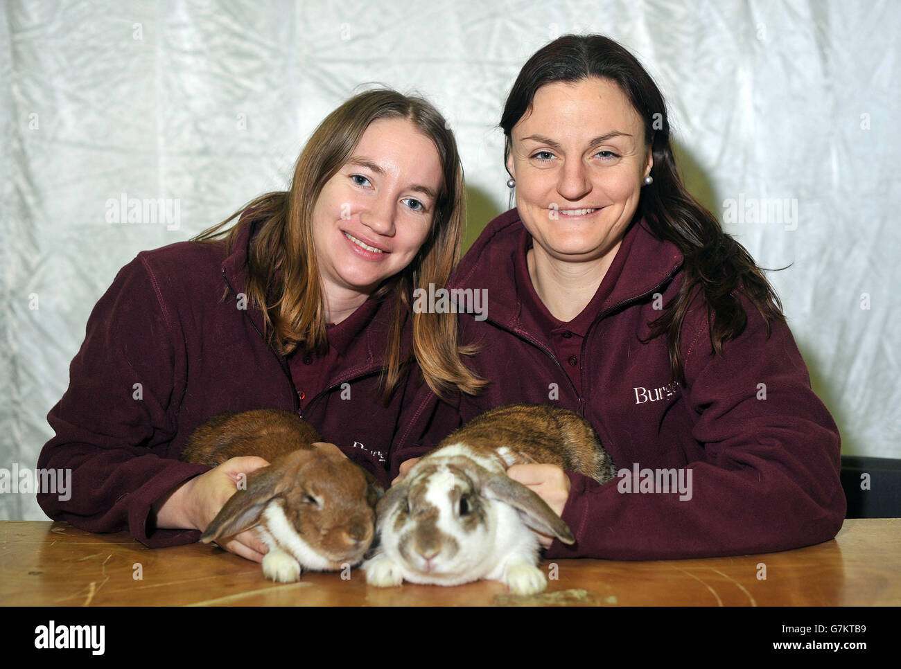 Left to right erika pettersson tina larrsson with rabbits tora hires