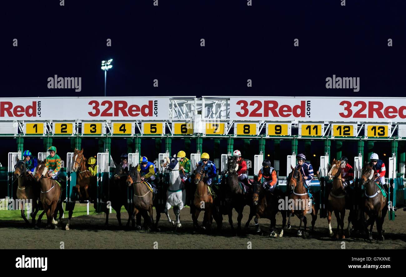 Horse Racing - Kempton Park Racecourse Stock Photo - Alamy