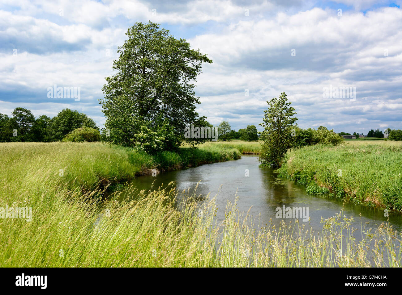 Bystrzyca river and green meadow near Lublin, Poland Stock Photo