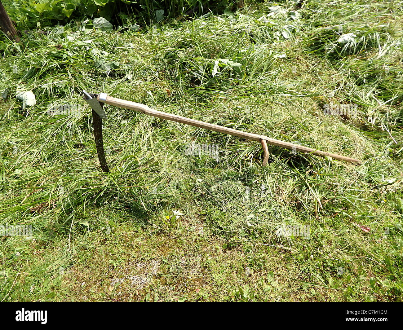 Agricultural Hand Tool, scythe ,scythe old farm tools Stock Photo Alamy