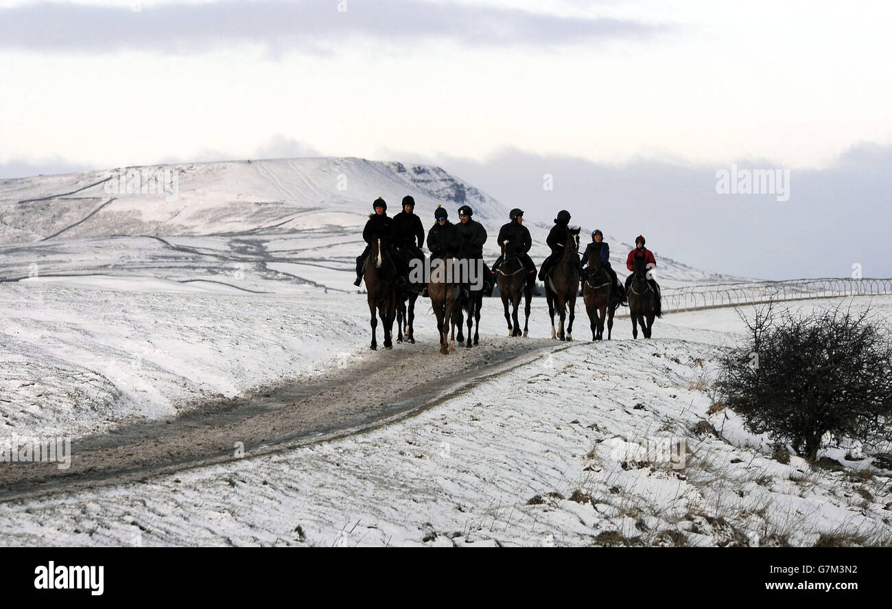 Racehorses make their way back from the gallops at Middleham across snow covered Dales, as Britons were warned to brace themselves for fresh disruption today as snow freezes over, bringing potentially perilous road conditions. Stock Photo