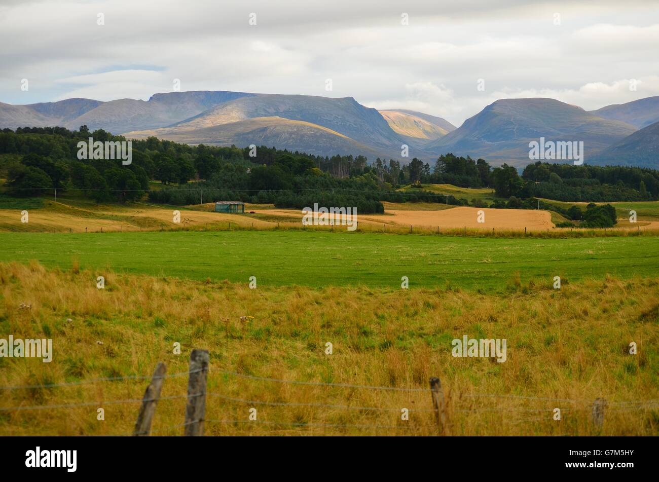 View from the B970 Boat of Garten road of the Cairngorm plateau, by