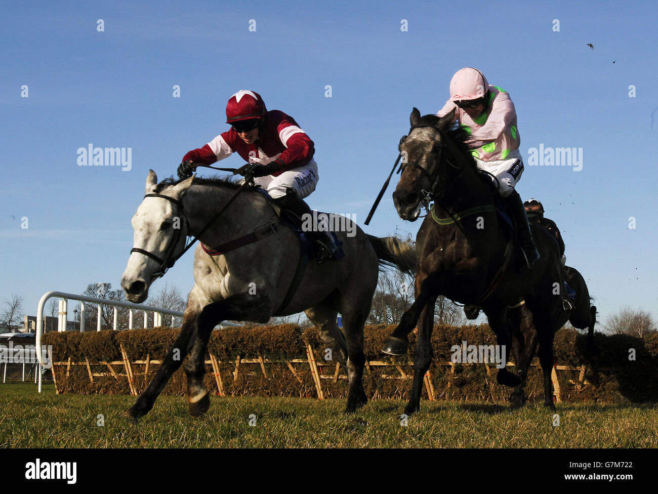 Petite Parisienne ridden by Bryan Cooper (left) races for the finish ahead of Kalkir ridden by Ruby Walsh on the way to winning the Gala Retail Spring Juvenile Hurdle during the Hennessy Gold Cup Day at Leopardstown Racecourse, Ireland. Stock Photo