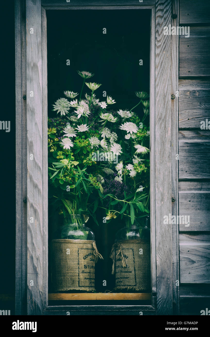Garden shed flowers hires stock photography and images Alamy