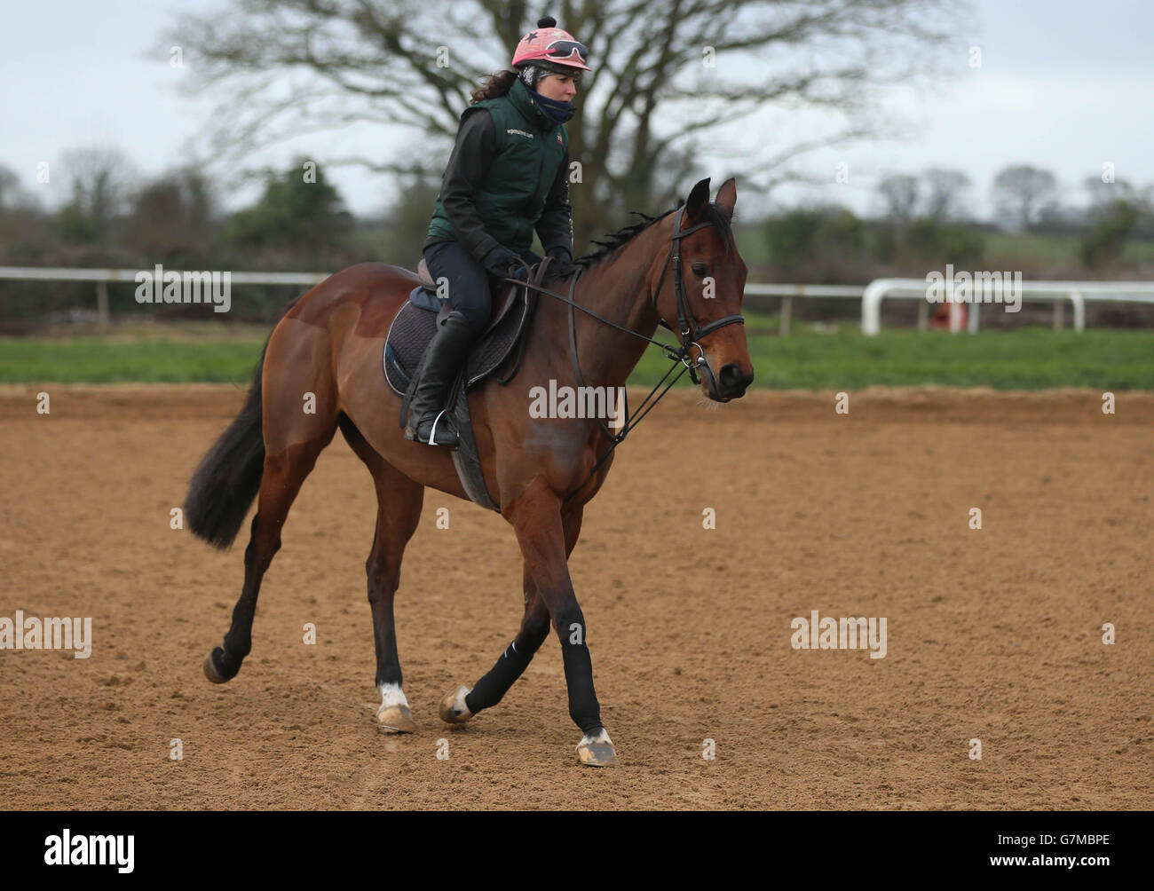 Horse Racing Visit To Willie Mullins Stables Closutton High Resolution ...