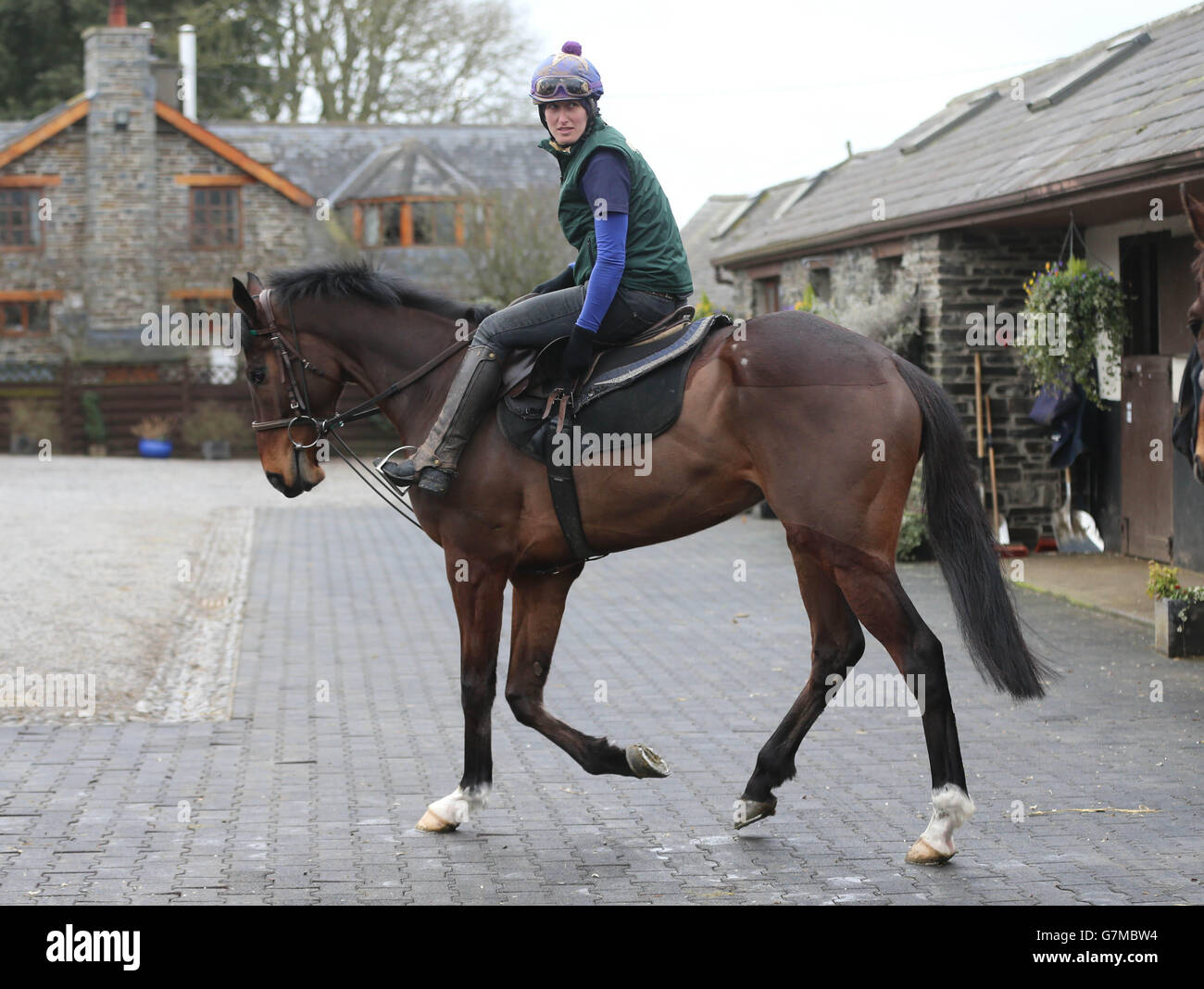 Horse Racing Visit To Willie Mullins Stables Closutton Stock Photo Alamy