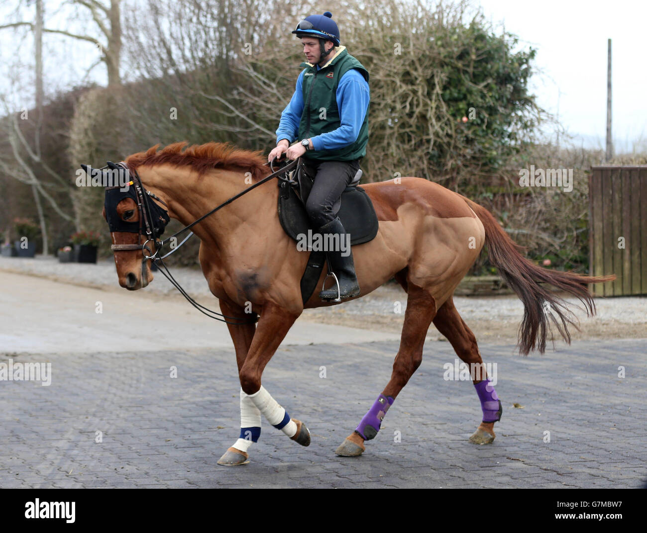 Horse Racing Visit To Willie Mullins Stables Closutton High Resolution ...