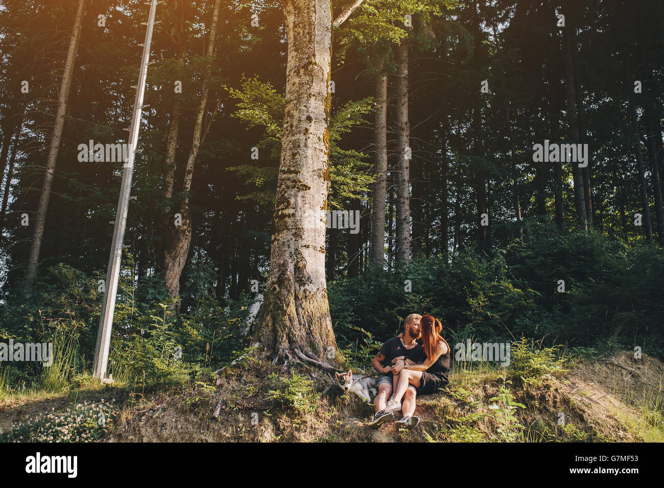 beautiful couple sitting in a forest near the tree Stock Photo - Alamy